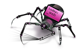 seo-publicamedia-4 araña-buscador
